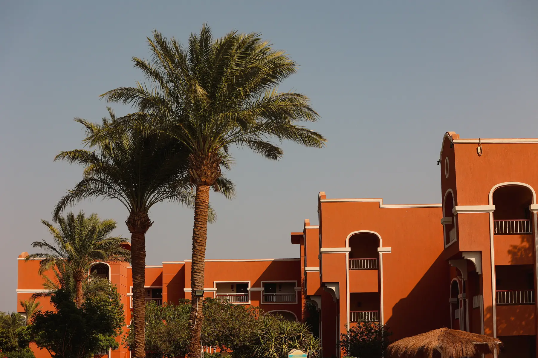 Resort building with palm trees at Caribbean World Resorts Hurghada