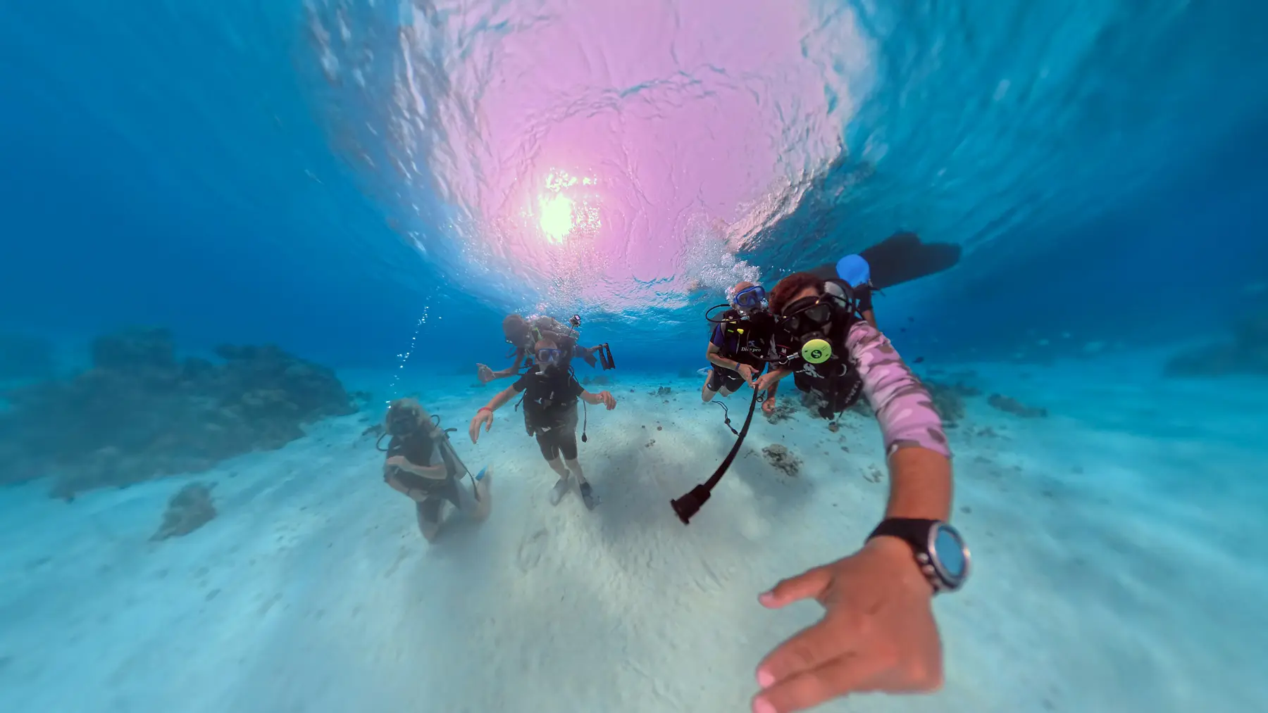Five scuba divers swimming above coral reef in the Red Sea near Caribbean World Resorts Hurghada