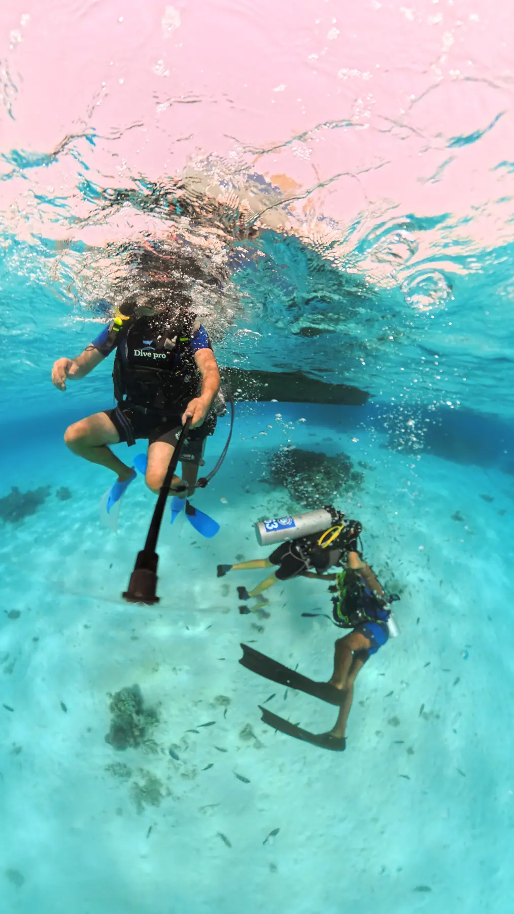 Scuba diver swimming above coral reef near Caribbean World Resorts Hurghada extracted from a 360