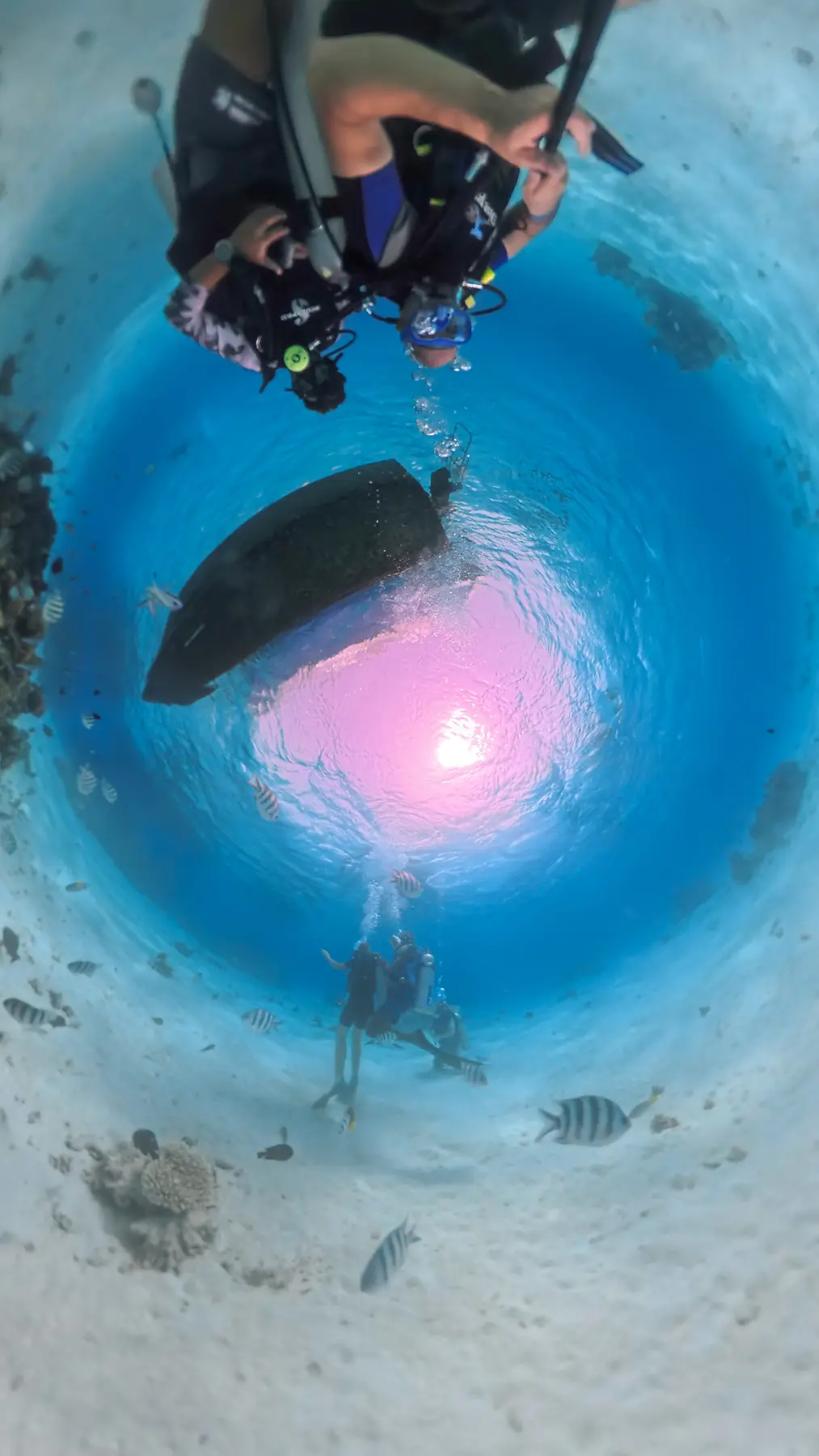 Scuba diver exploring underwater reef near Caribbean World Resorts Hurghada in a 360 tiny planet view