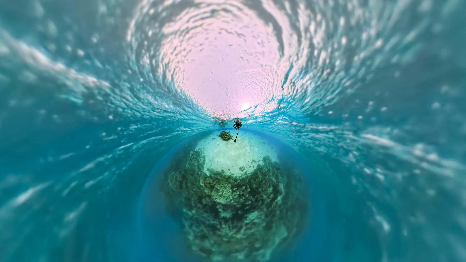 Marine life and coral reef structures near Caribbean World Resorts Hurghada captured underwater